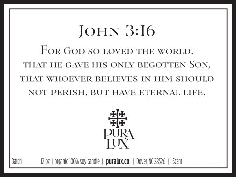 John 3:16