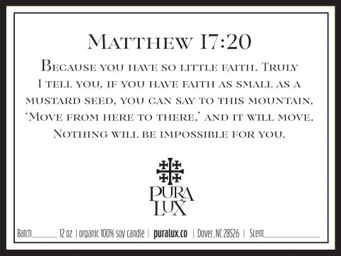 Matthew 17:20