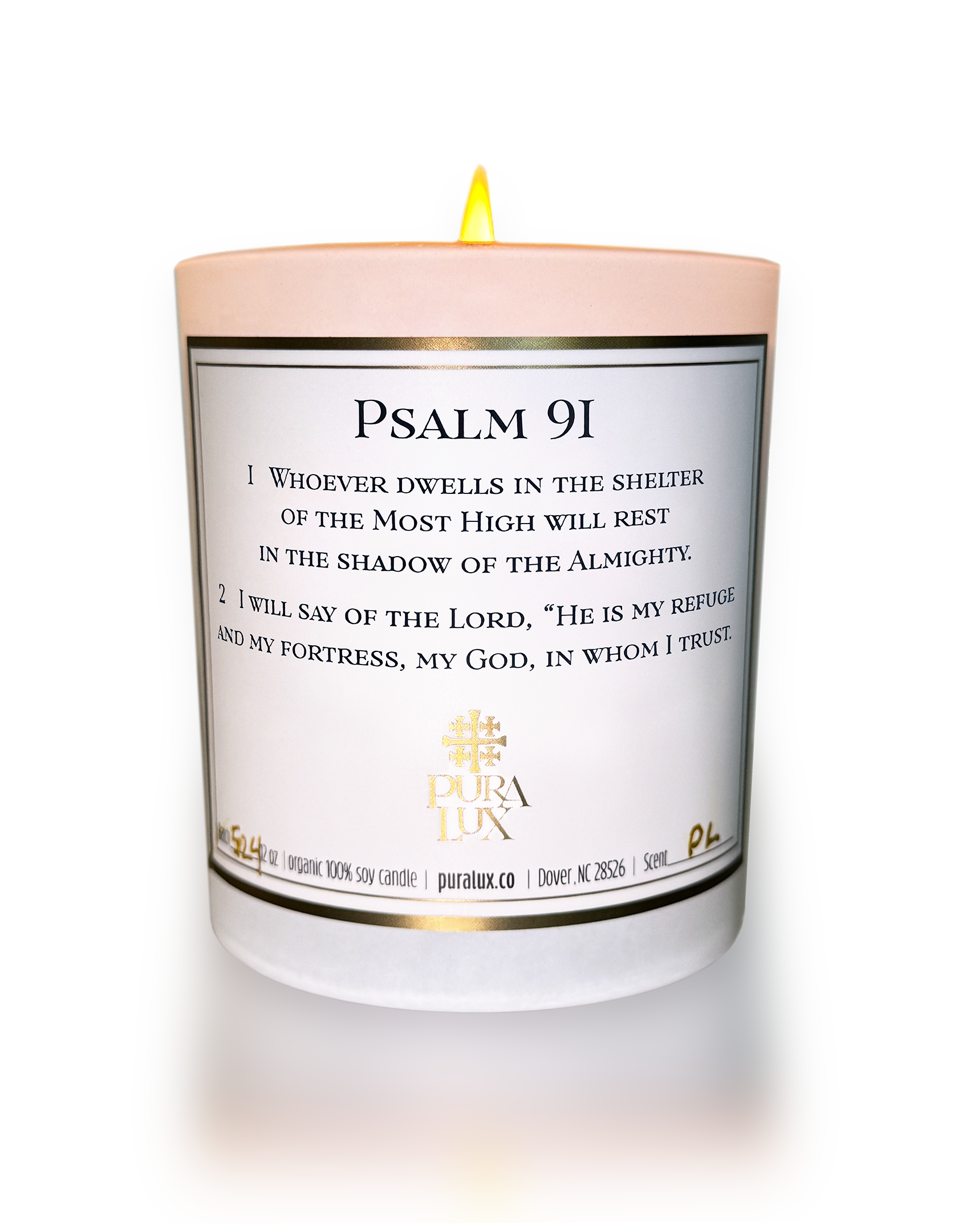 Psalm 91