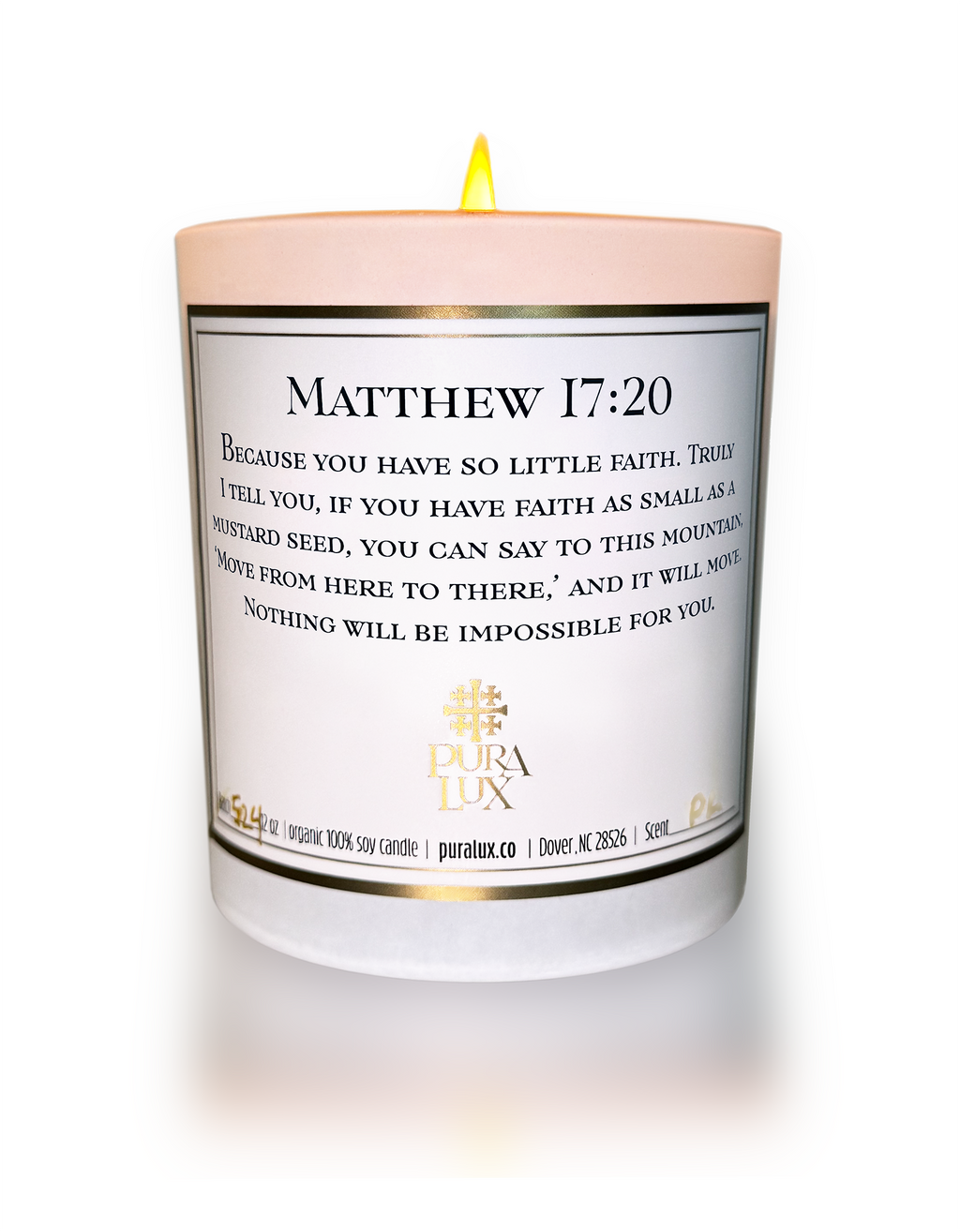 Matthew 17:20