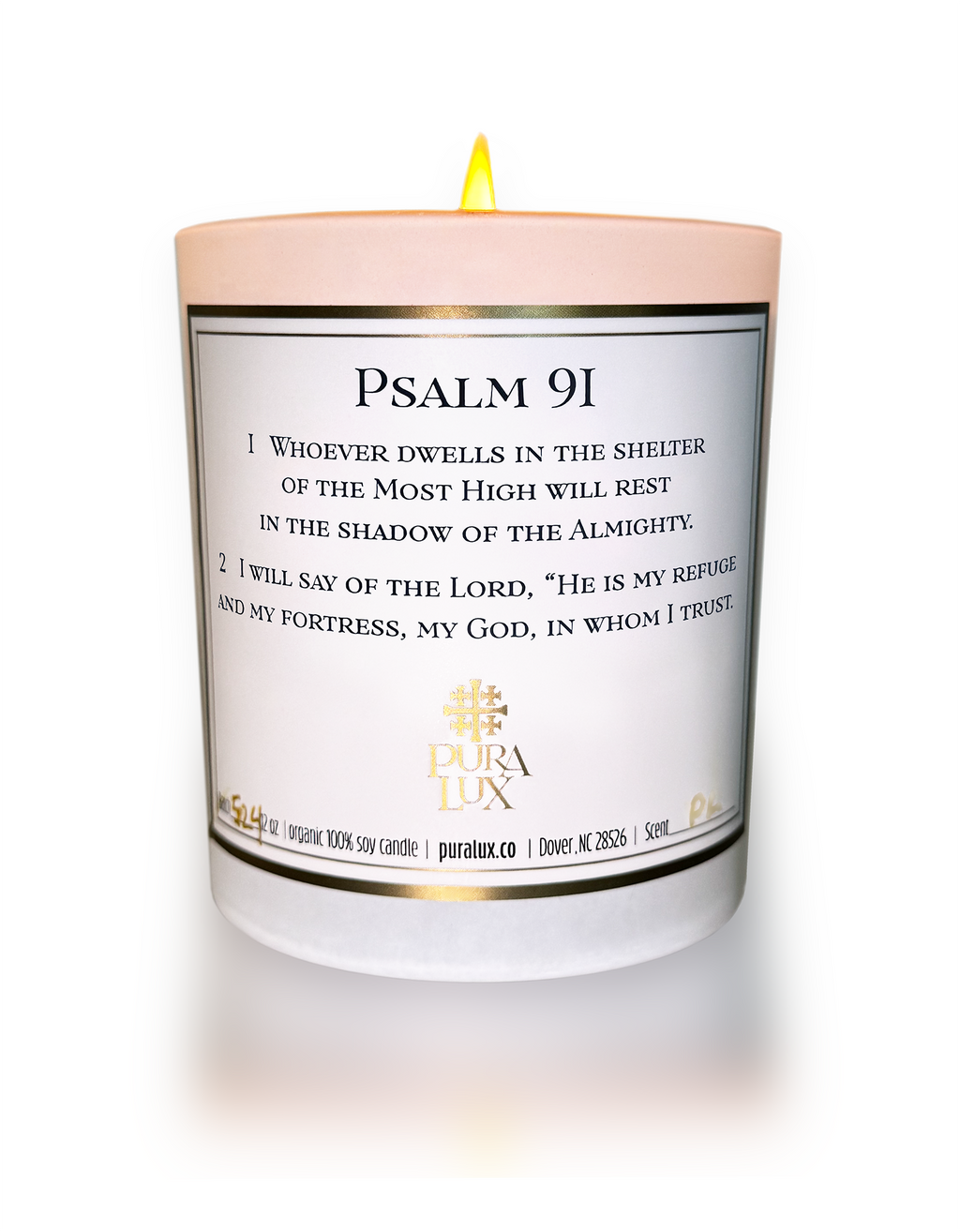Psalm 91