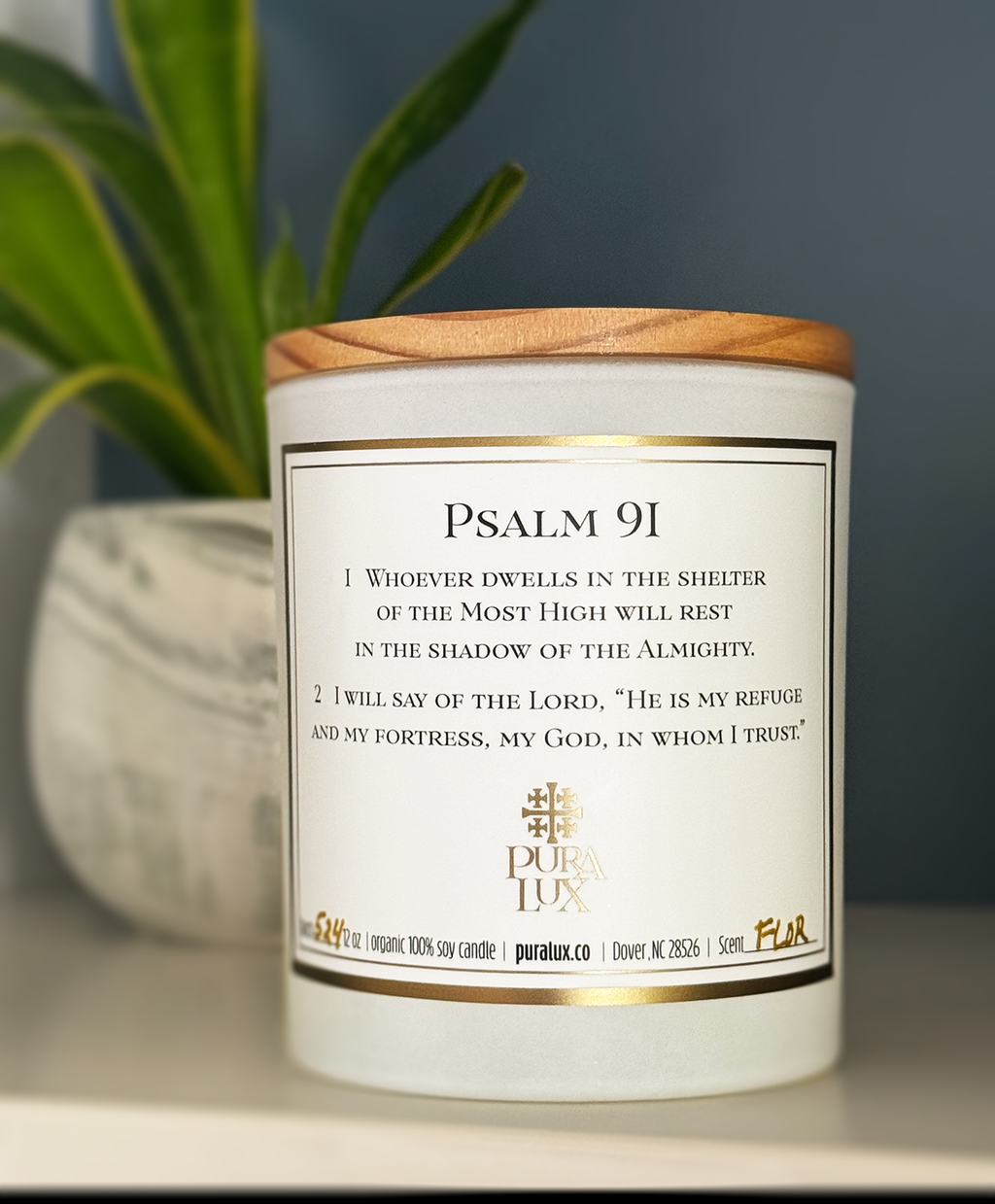Psalm 91